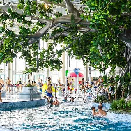 아파트 Muller 티미쇼아라