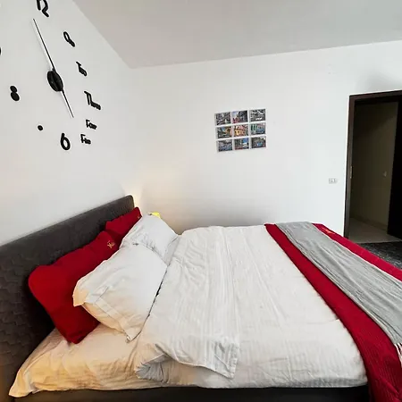 Muller 티미쇼아라