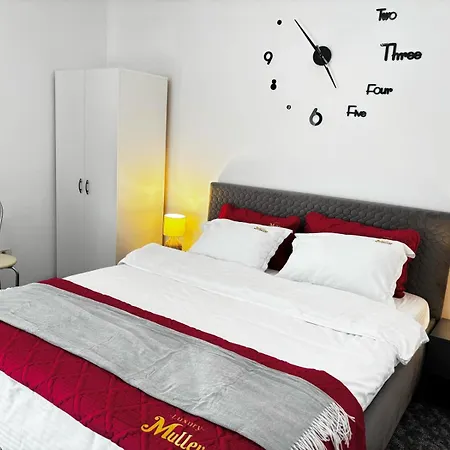 Muller Apartment Timisoara