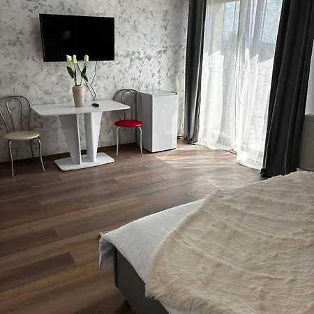 Muller Apartment Timisoara