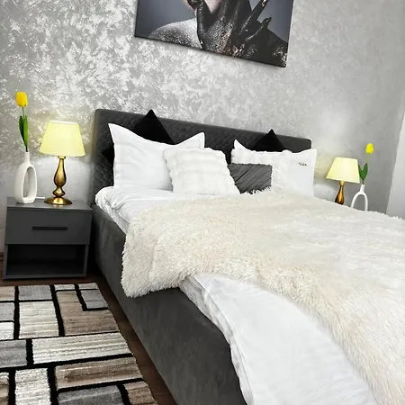 Muller Apartment Timisoara