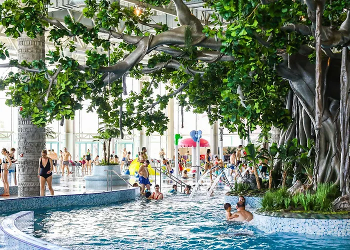 아파트 Muller 티미쇼아라