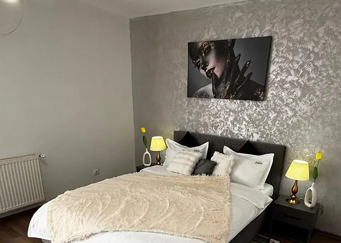 Muller 티미쇼아라