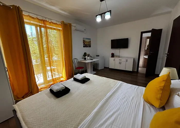 Muller * 티미쇼아라